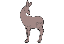 Okapi